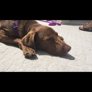 Meet your Posher, Lynette